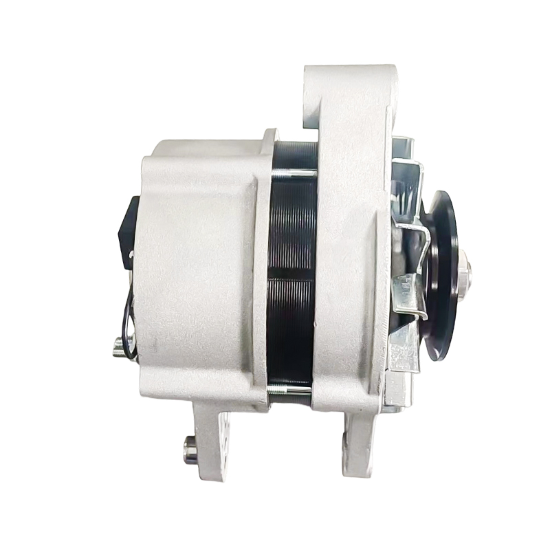 MG791 AAK4653 IA1616 11204629 72442837 AAK4653 12V 120A 8PK62mm Alternadores ISKRA / LETRIKA